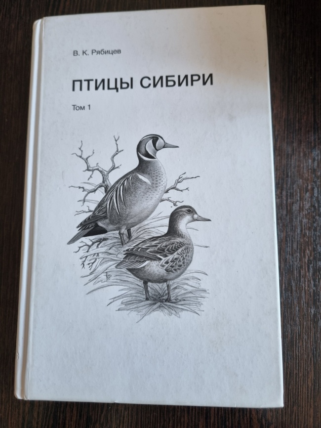 ����� ������ ��� 1