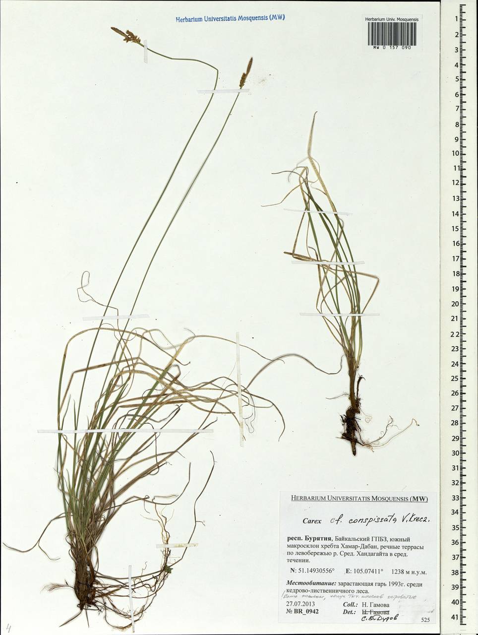 ����� �����������