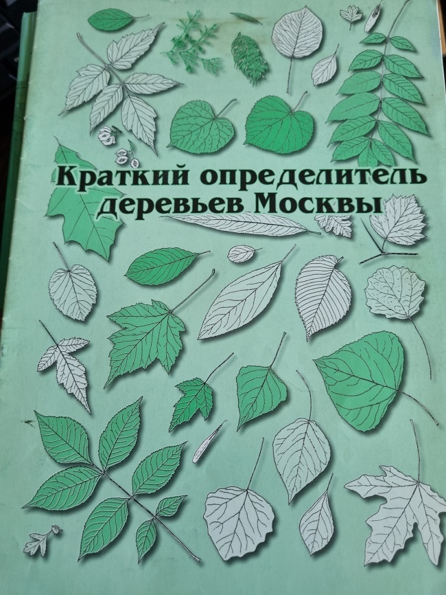 ������� ������������ �������� ������