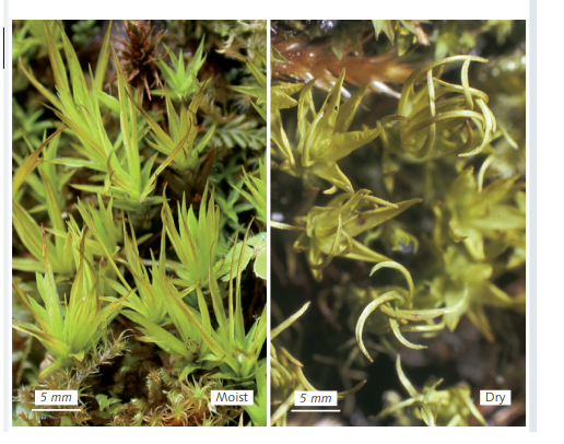 ������ ����������