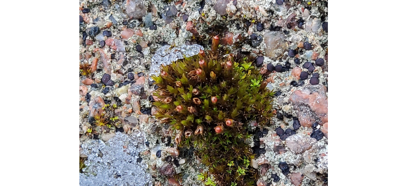 ���������� �����������������