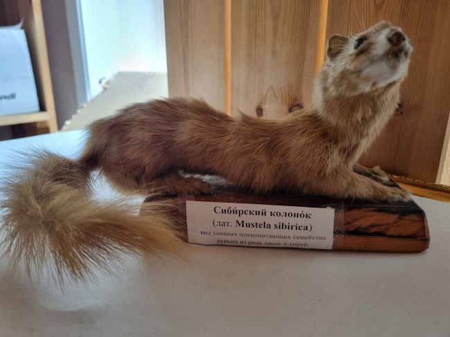 ������ �������