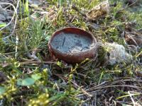 ��������� ����������