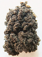 ��������� ����������