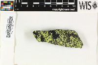 ���������� ��������