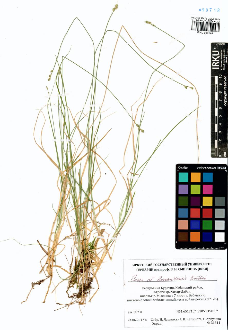 ����� ������������