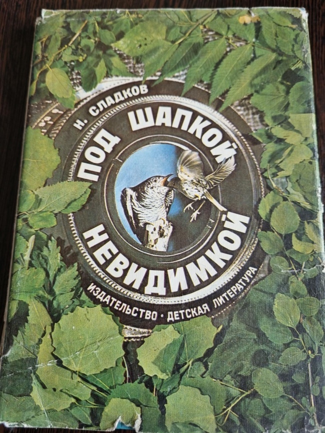 ��� ������ ����������