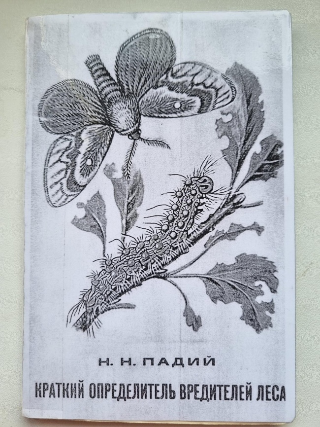 ������� ������������ ����- � ������������� ����������. ����� �.�.