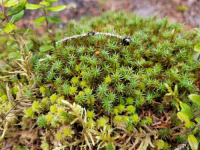 ���������� �������������������