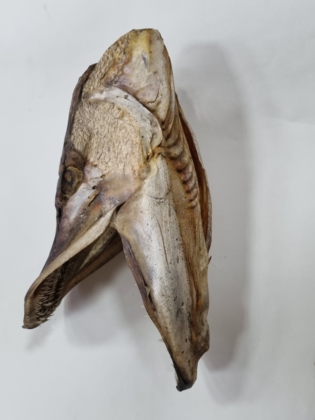 ���������� ������ ����