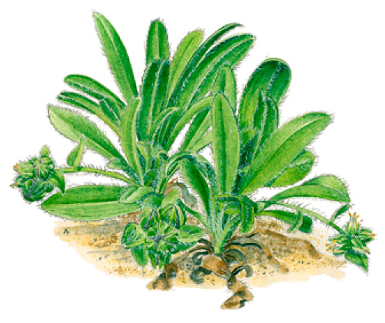 ������������� ���������������