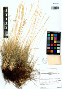 �������� ��������