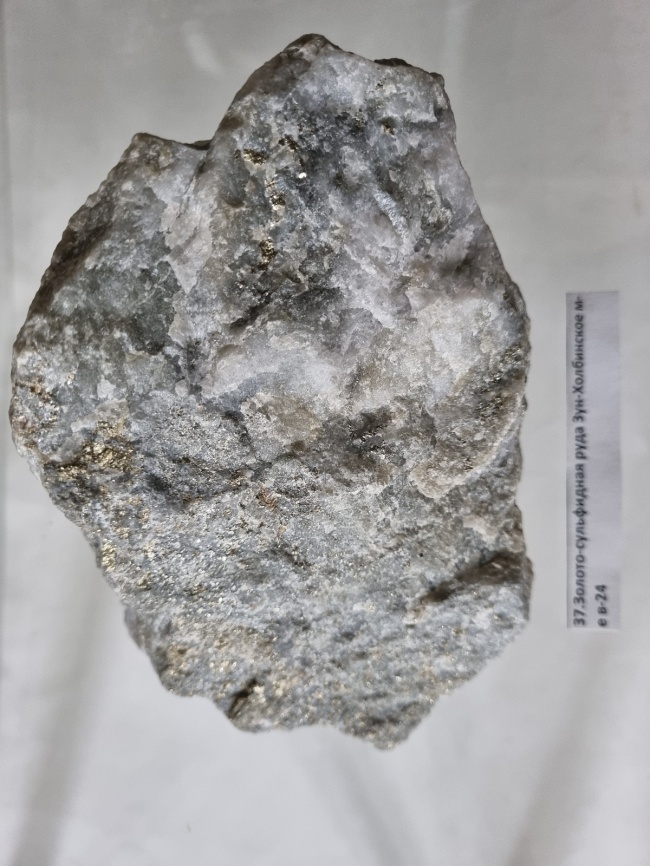 ������-���������� ����