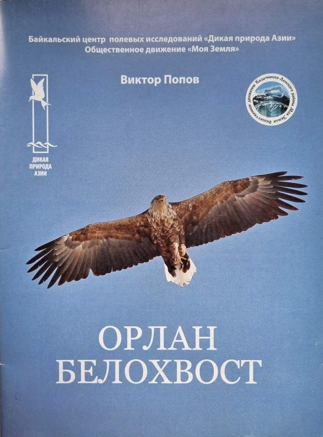 �����-���������, �.�. �����