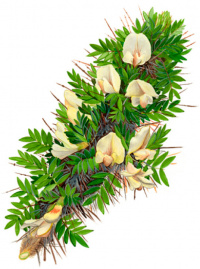 �������� ���������