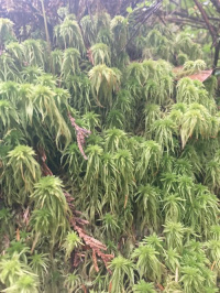 ������� ����������