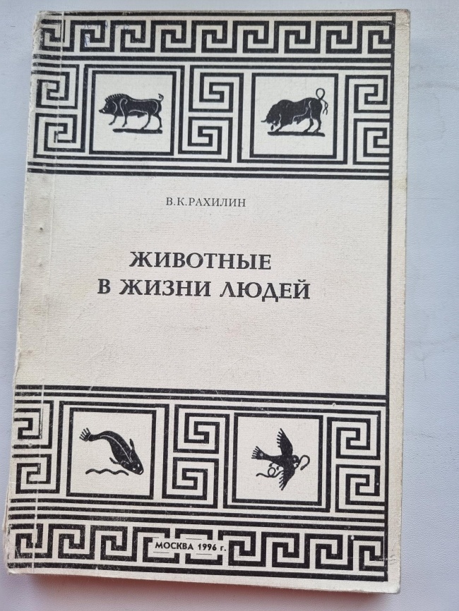 �������� � ����� �����. ������� �.�.