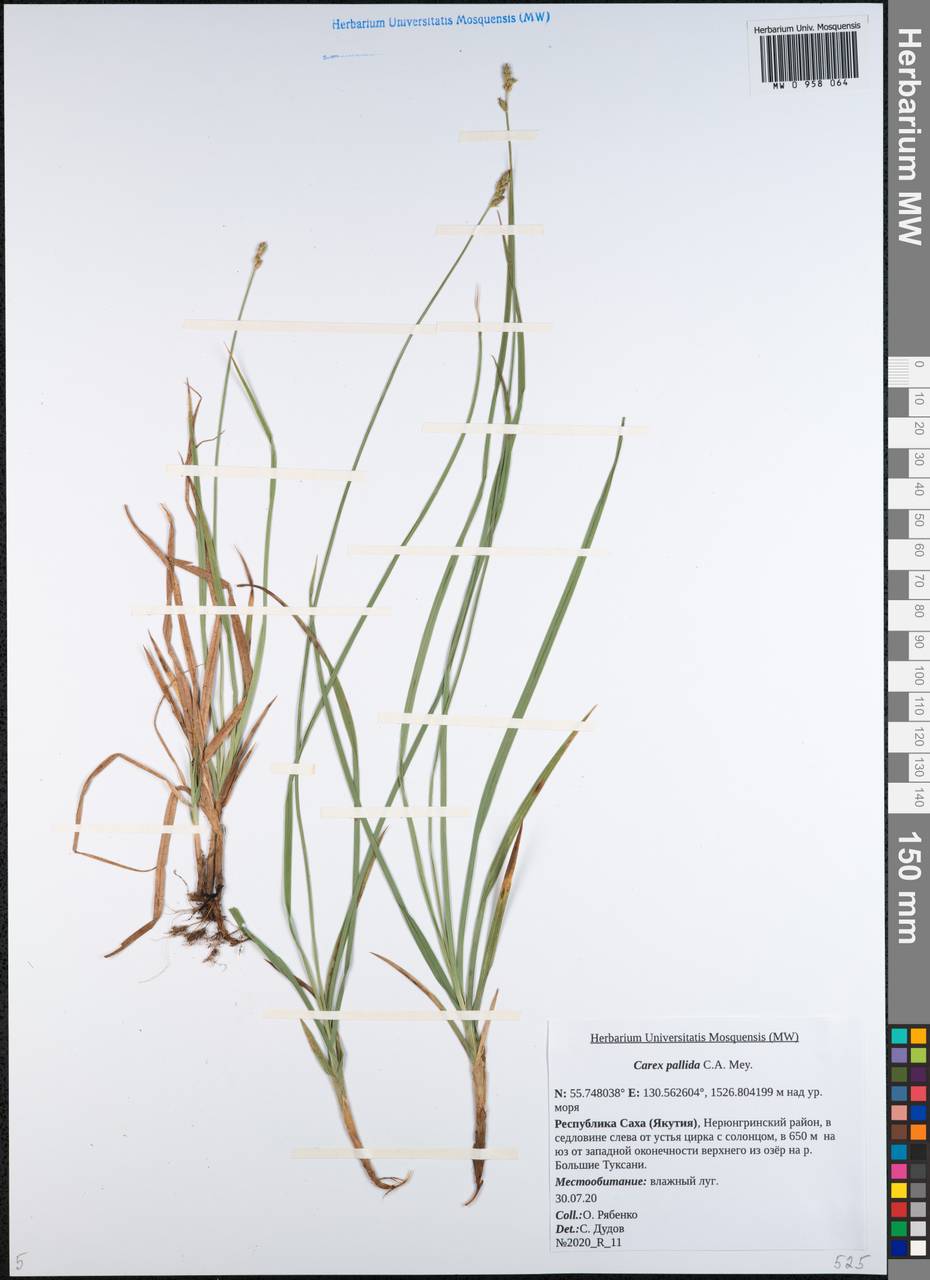 ����� ��������