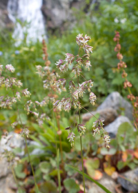 ������ ����������