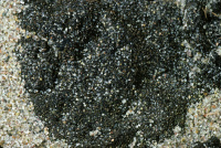 ������������ ������������