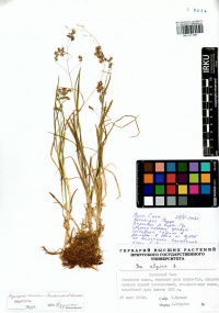 �������������� ��������