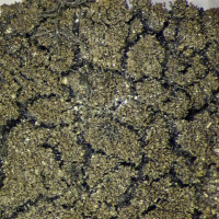 ���������� ��������������