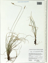 ����� �����������