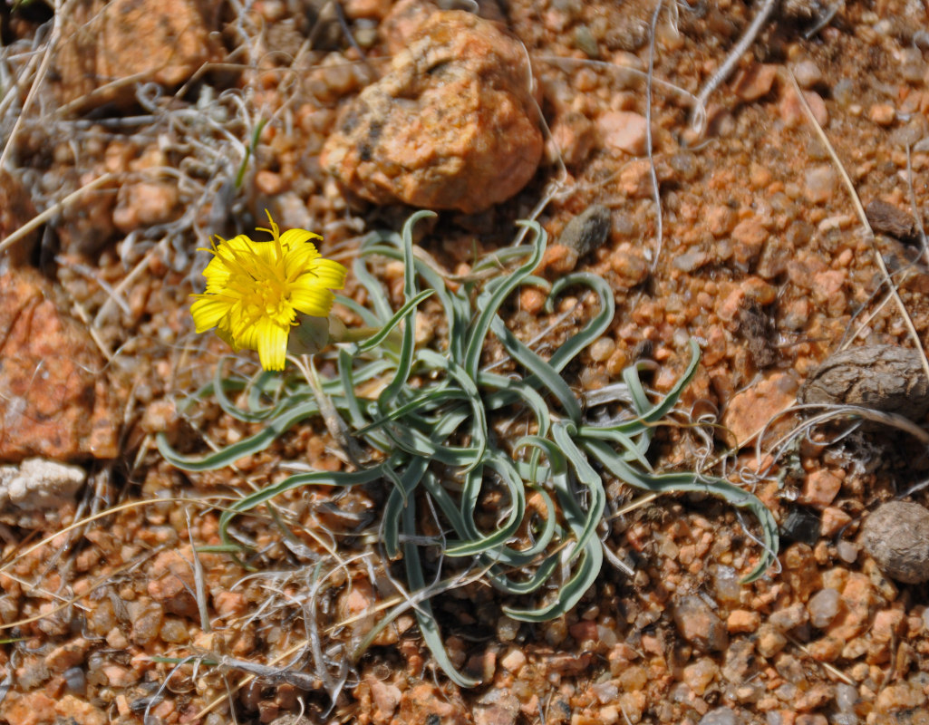 �������������� ��������