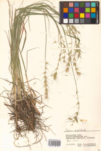 �������������� ��������������