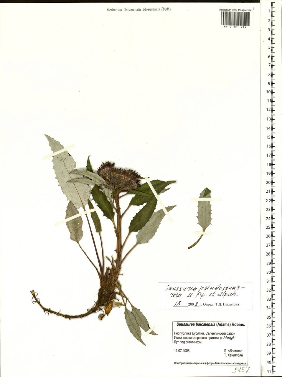 �������� ������������������