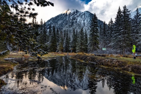 ����� ��������� ����