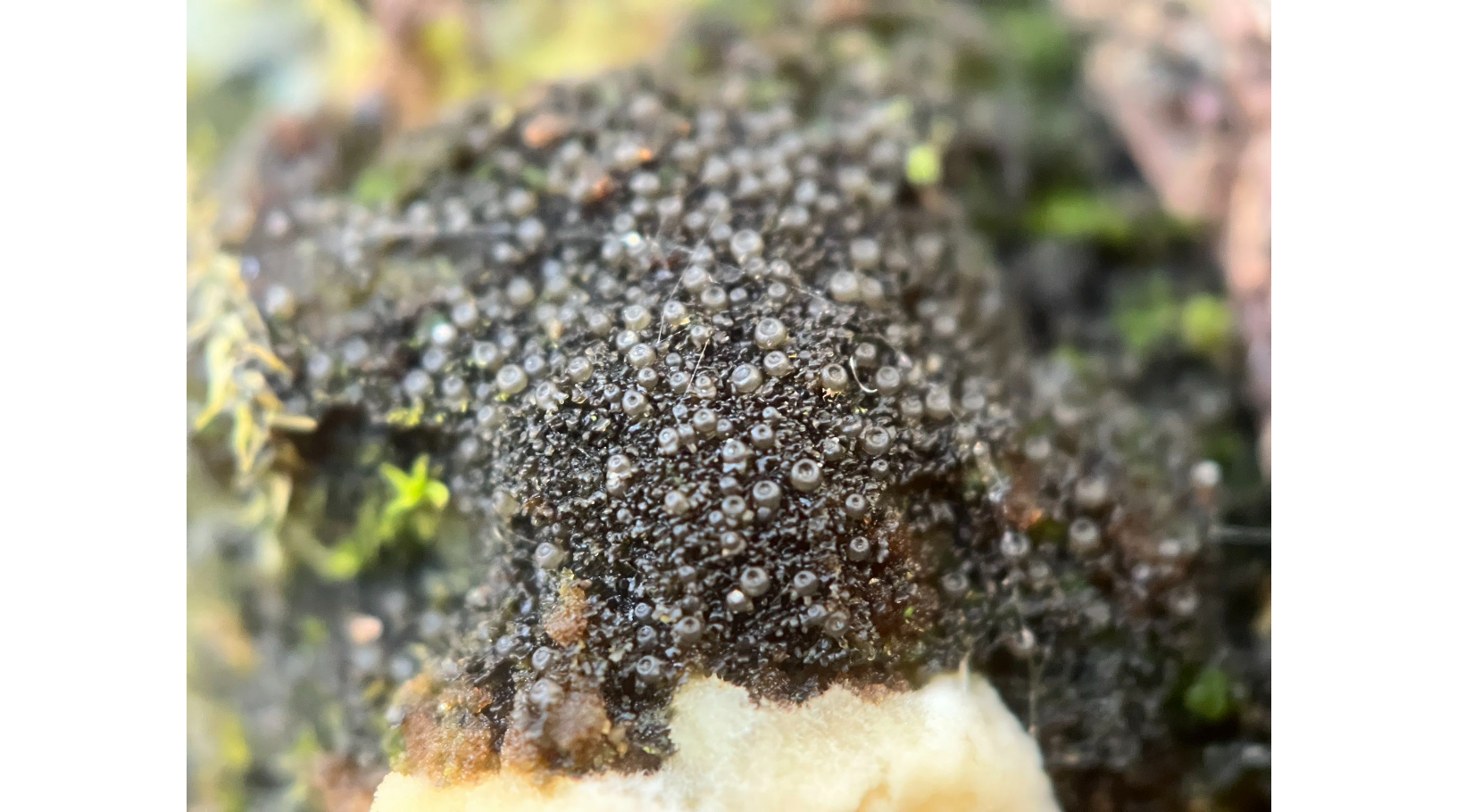 ��������� ������