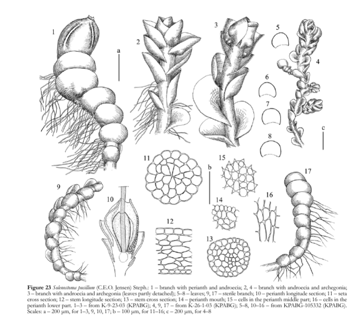 ����������� ���������