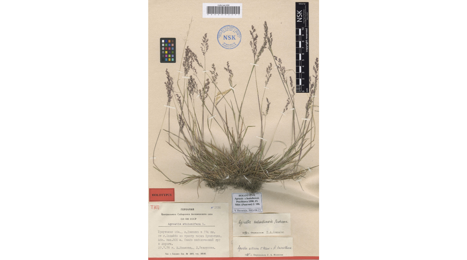 �������� ������������