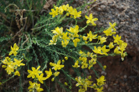 ����� �������������