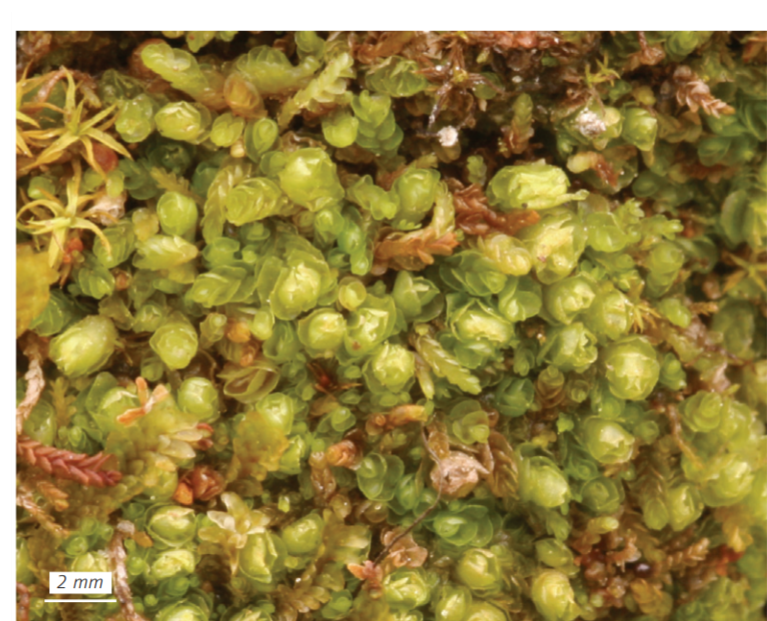 ������ ����������