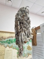 ������ ������������� �������