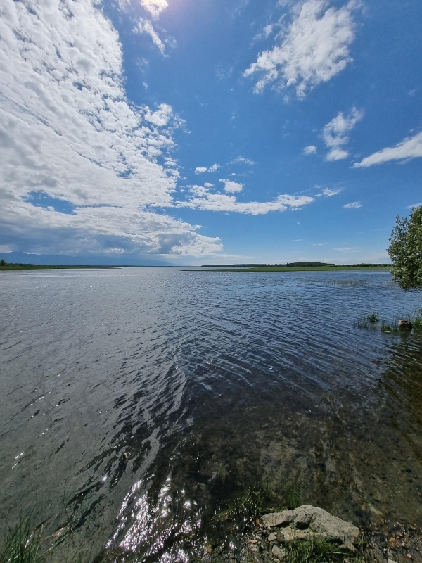 ����� ������