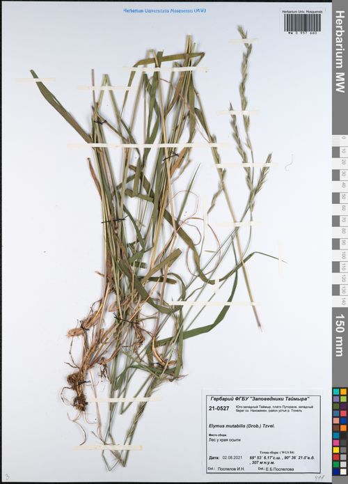 �������� ����������