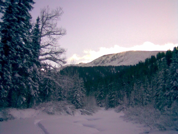 ���������� ��������