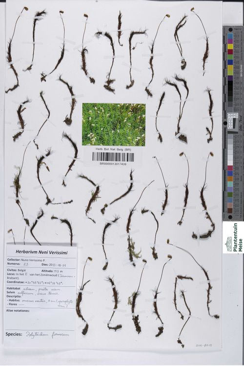 �������������� ��������