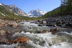 ������� ��������