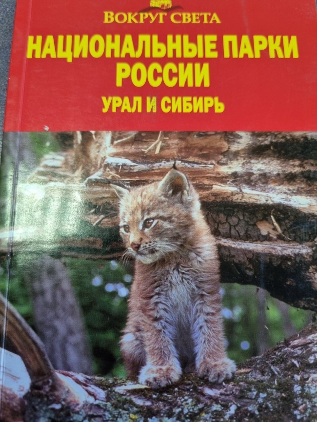 ������������ ����� ���� � ������