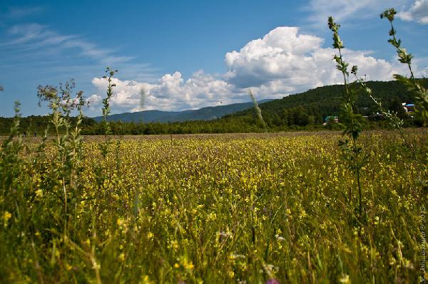 ��������� �����