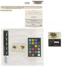 ��������� �������������