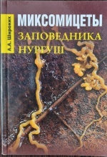 ����������� ����������� "������"