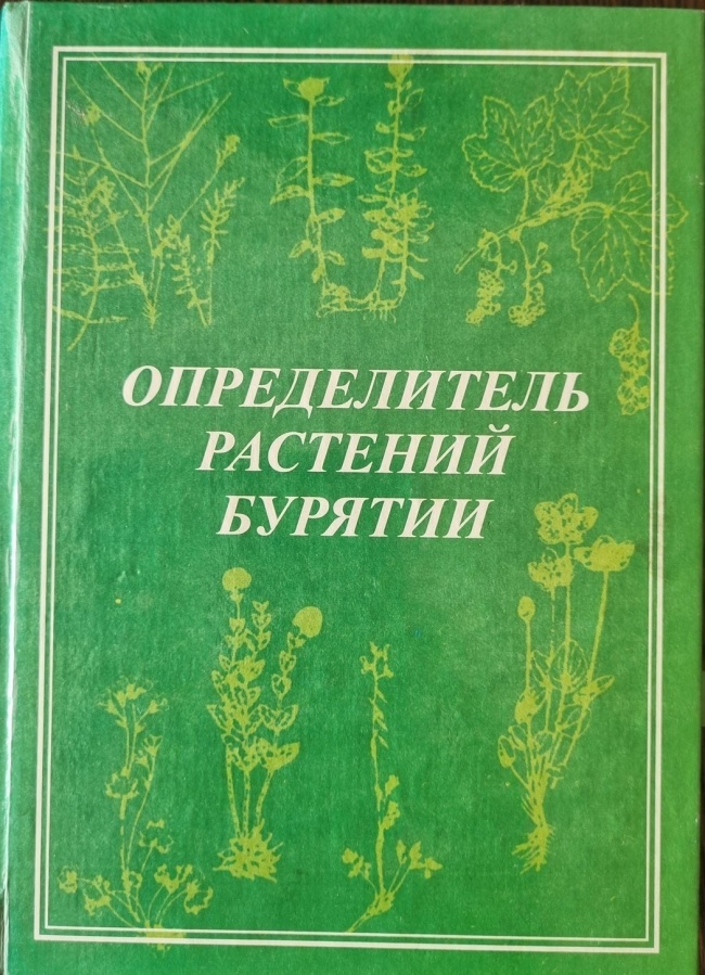 ������������ �������� �������