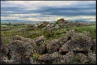 ������������ �����