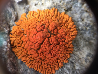 ��������� �������, ����������� �������, ��������� �������, ��������� ����������