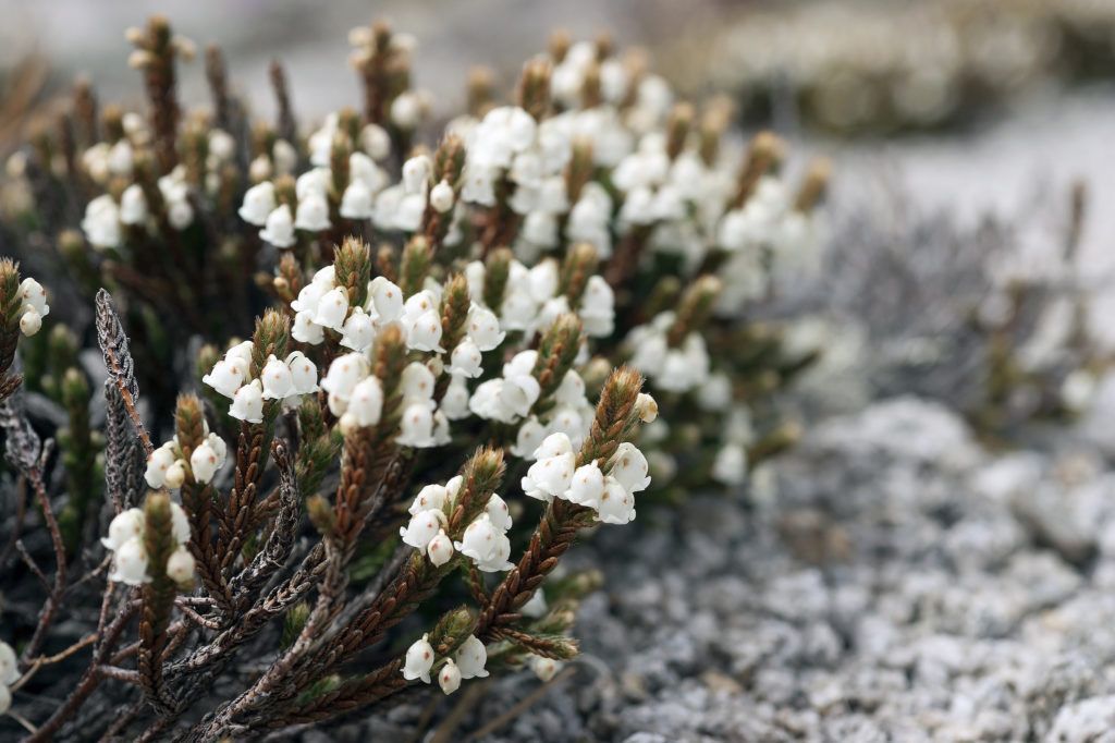 ��������� �������������